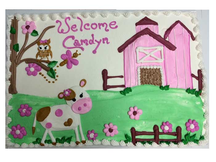 Welcome Baby Girl Barnyard Cake Design