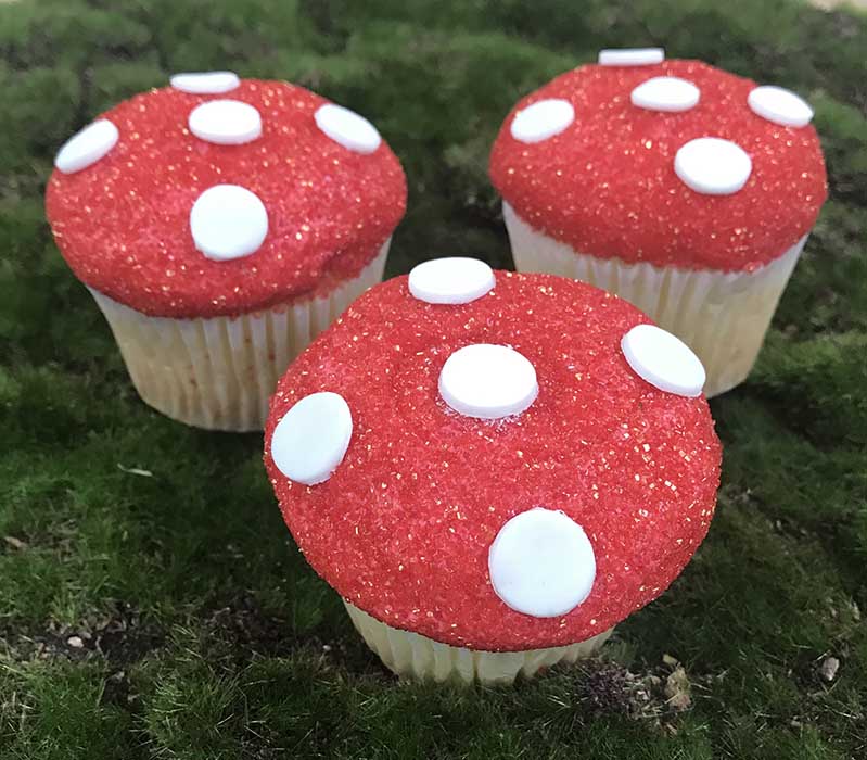 Mushroom Cupcakes